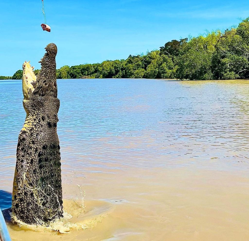 Jumping Crocodile Cruise