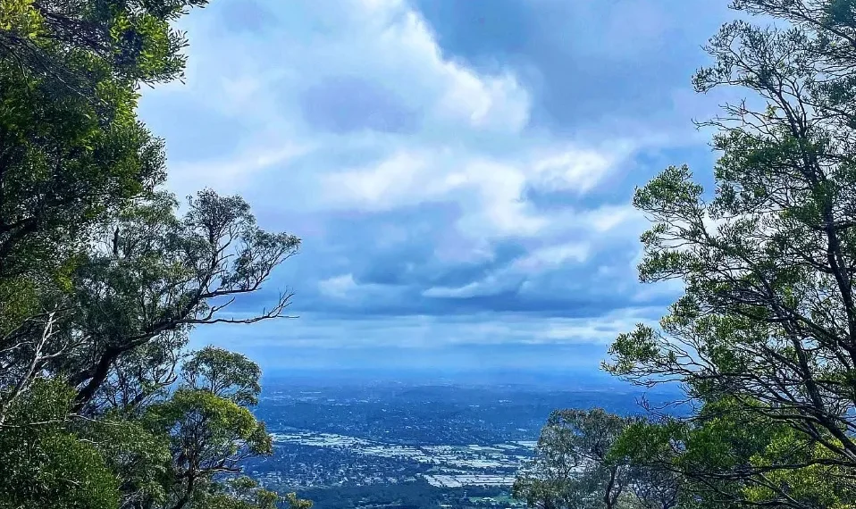 Hiking Trails and Nature Spots Around Melbourne