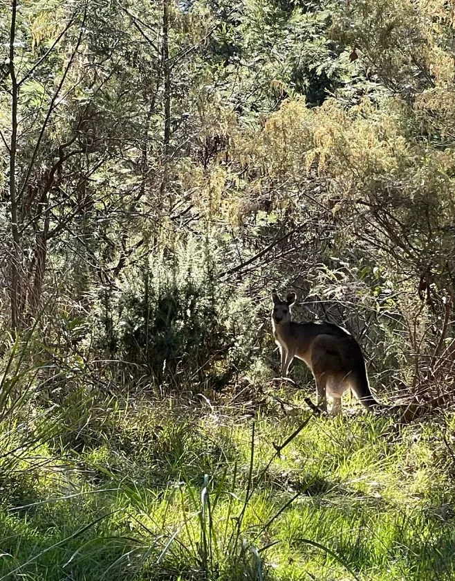 Lysterfield Lake Park