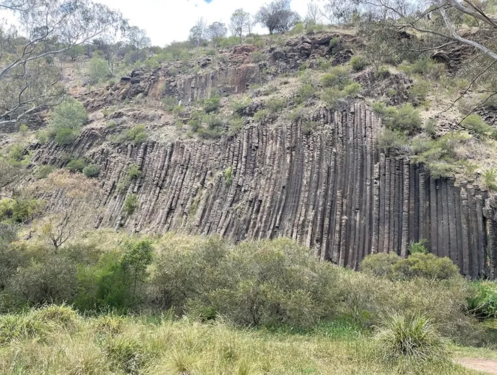 Organ Pipes National Park