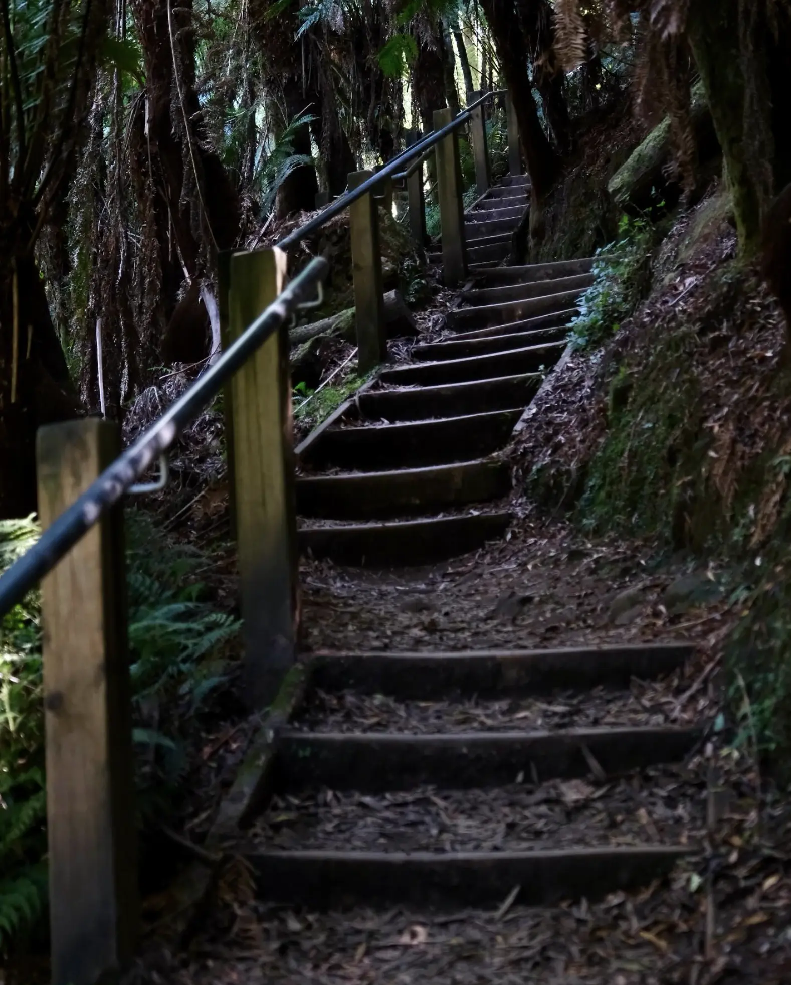 Great Otway National Park