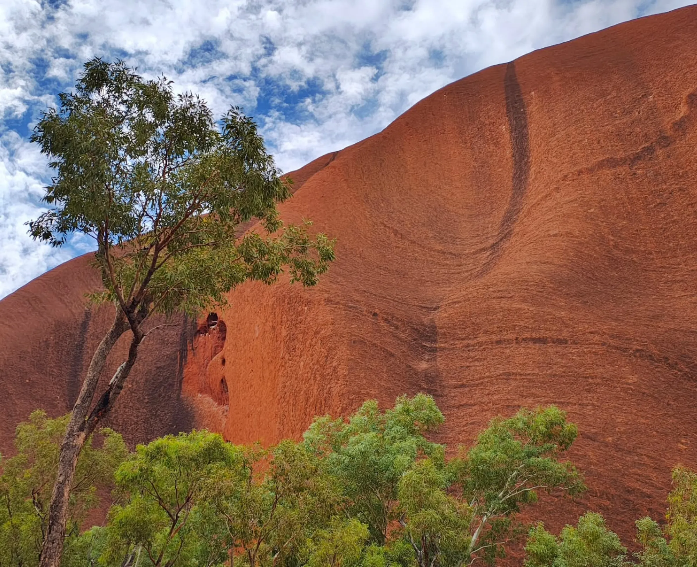 unique landscape