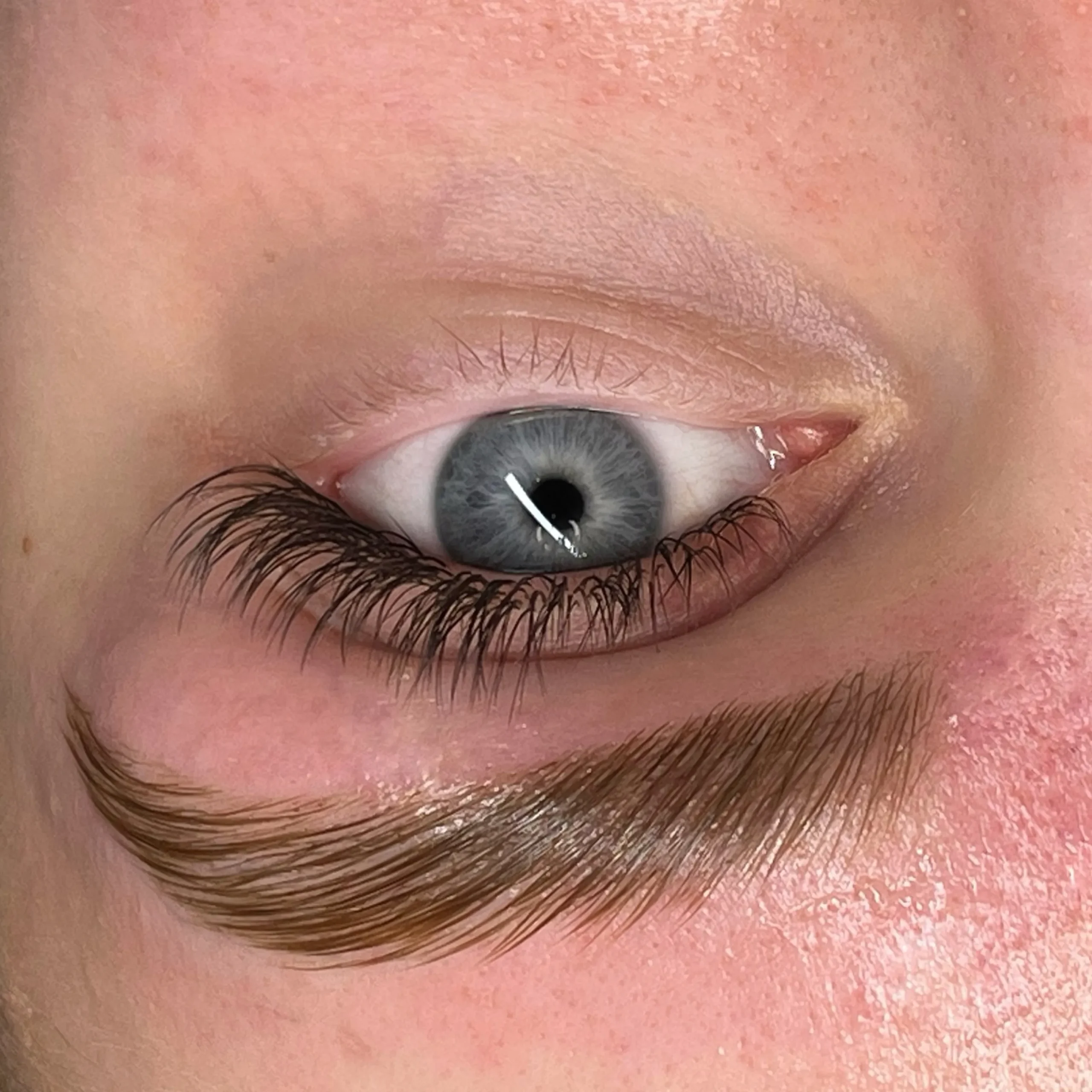 brow tattoo for dark brows